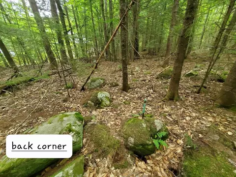 Map18lot27 Sandy Beach Road, Danforth, ME 04424 photo 22