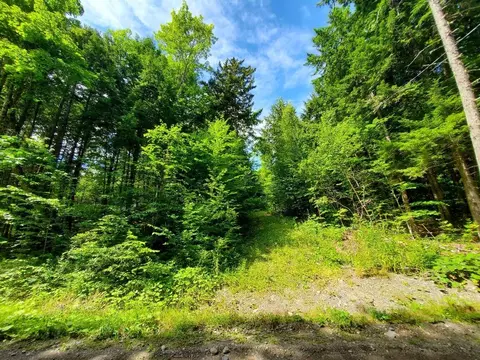 Map18lot27 Sandy Beach Road, Danforth, ME 04424 photo 10