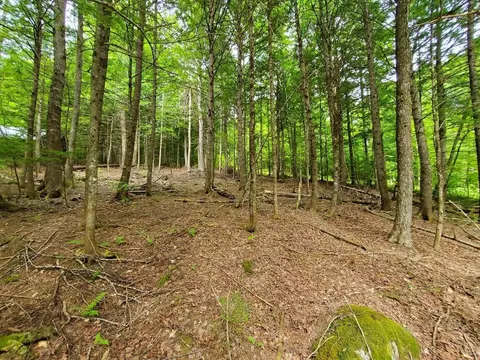 Map18lot27 Sandy Beach Road, Danforth, ME 04424 photo 5