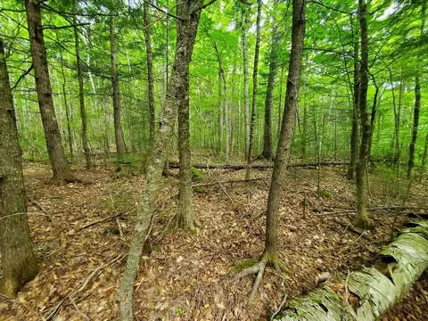 Map18lot27 Sandy Beach Road, Danforth, ME 04424 photo 19