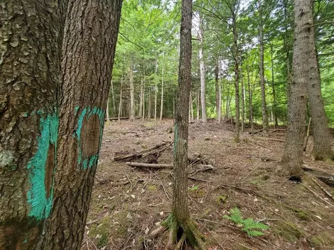 Map18lot27 Sandy Beach Road, Danforth, ME 04424 photo 6