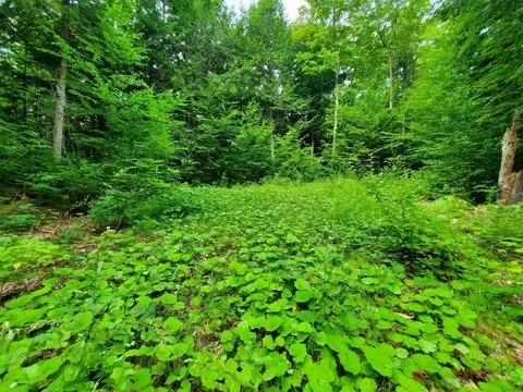 Map18lot27 Sandy Beach Road, Danforth, ME 04424 photo 11