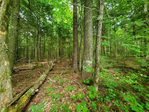 Map18lot27 Sandy Beach Road, Danforth, ME 04424 photo 16