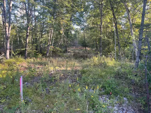 0 Flagg Mill Rd, Naples, ME 04055