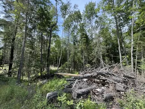 lot24 A Bemis Rd, Rangeley Plt, ME 04970 photo 4
