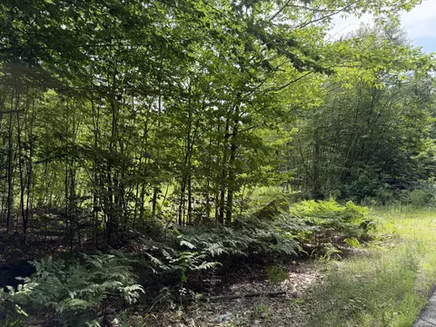 lot60 116 Plaisted Rd, Jay, ME 04239 photo 6