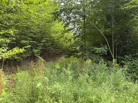 lot60 116 Plaisted Rd, Jay, ME 04239 photo 7