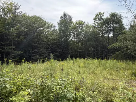 lot60 116 Plaisted Rd, Jay, ME 04239 photo 3