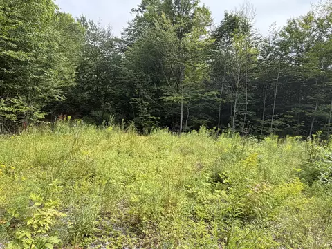 lot60 116 Plaisted Rd, Jay, ME 04239 photo 4