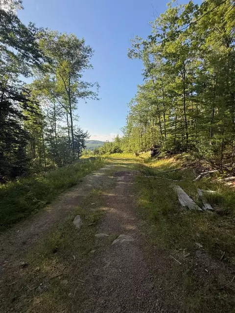 0 Old Whitney Rd, Harrison, ME 04040 photo 2