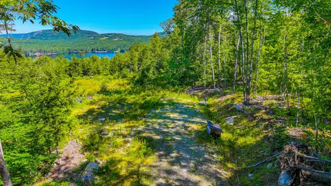 0 Old Whitney Rd, Harrison, ME 04040 photo 3