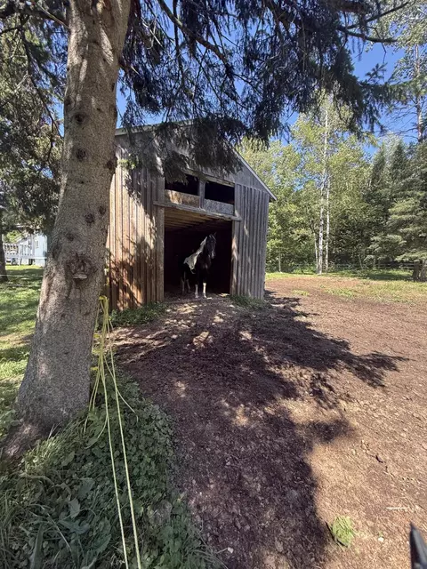 Exterior - 80 High Meadow Rd, Perham, ME 04766 photo 4 of 9