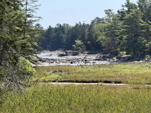 59 Moyer Way, Gouldsboro, ME 04607