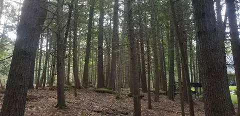 48 Johnson Rd, Windham, ME 04062 photo 9