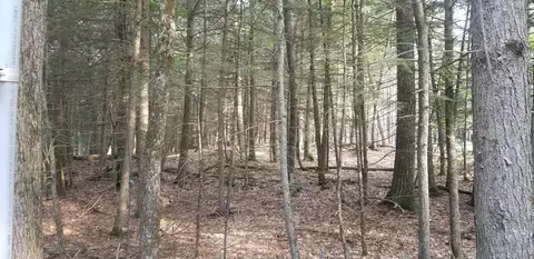 48 Johnson Rd, Windham, ME 04062 photo 5