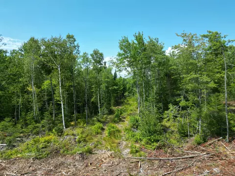 lot4 A Off Morgan Rd, Burnham, ME 04922 photo 6