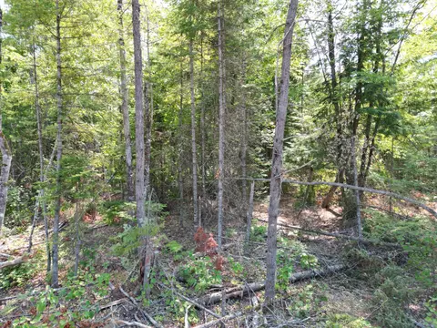 lot4 A Off Morgan Rd, Burnham, ME 04922 photo 3
