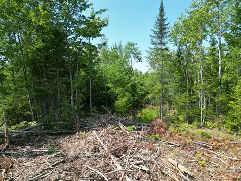 lot4 A Off Morgan Rd, Burnham, ME 04922 photo 2