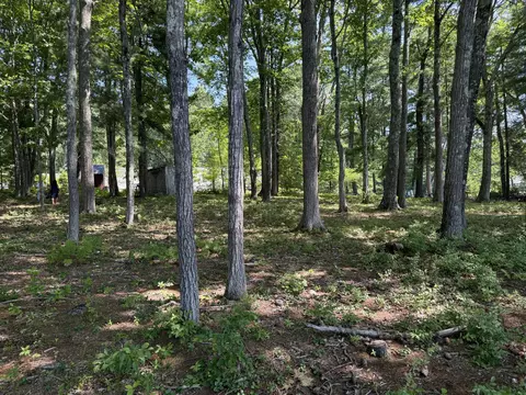 97 Forest Rd, Alfred, ME 04002 photo 6