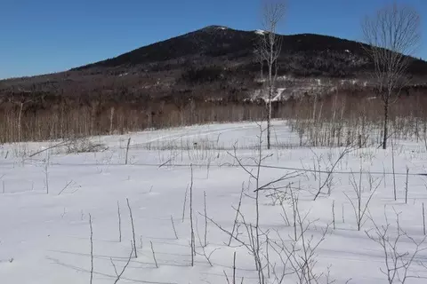 Other - 130 Schoolbus Rd, Mount Chase, ME 04765 photo 22 of 23
