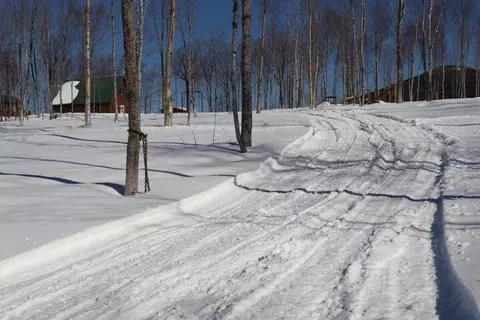 Exterior - 130 Schoolbus Rd, Mount Chase, ME 04765 photo 12 of 12