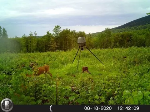 Exterior - 130 Schoolbus Rd, Mount Chase, ME 04765 photo 10 of 12