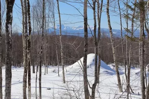 Other - 130 Schoolbus Rd, Mount Chase, ME 04765 photo 23 of 23
