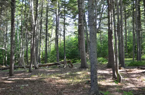 12 Ocean Ridge Rd, Cushing, ME 04563 photo 3