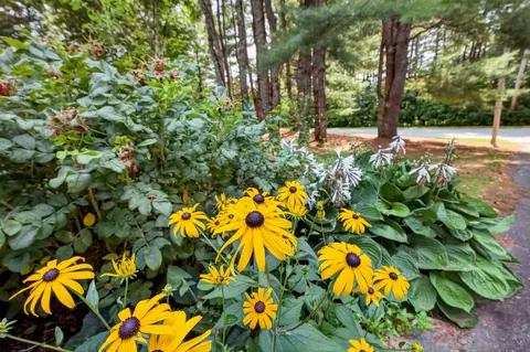 Exterior - 545 Deerfield Dr, Hermon, ME 04401 photo 6 of 28