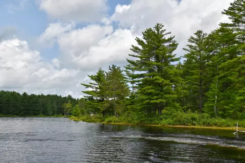 View/Area - 10 Witham Is, Ebeemee Twp, ME 04414 photo 10 of 10