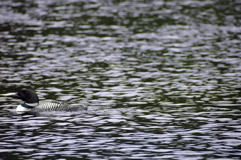 Other - 10 Witham Is, Ebeemee Twp, ME 04414 photo 10 of 21