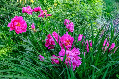 55 Sanborn Ln, Oxford, ME 04270