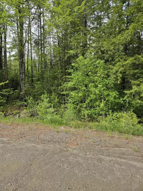 lot81 1 Lower Detroit Rd, Plymouth, ME 04969