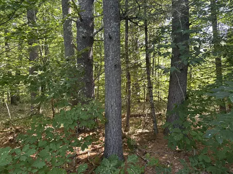 01 Baldwin Rd W, Standish, ME 04084 photo 10