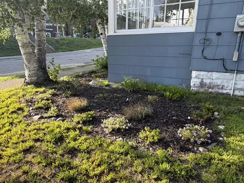 Exterior - 69 Maine Ave, Millinocket, ME 04462 photo 2 of 13