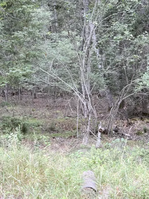 00 Walker Rd, Lamoine, ME 04605 photo 6