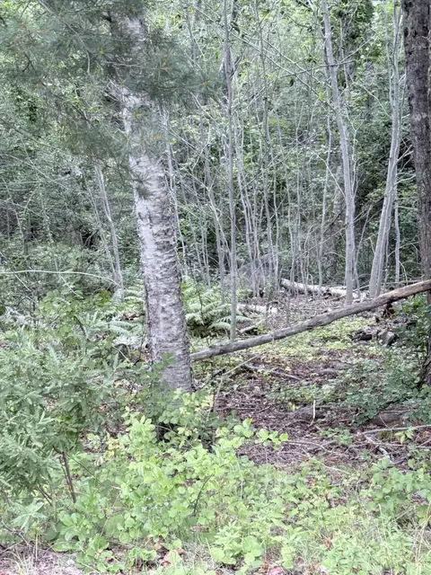 00 Walker Rd, Lamoine, ME 04605 photo 2