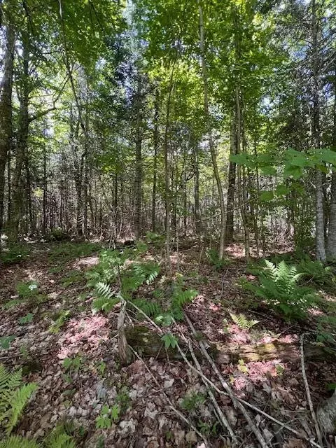 lot35 Woodland Ridge Rd, Danforth, ME 04424 photo 10
