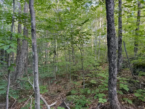 12 Mountain View Dr # E, Temple, ME 04984 photo 18