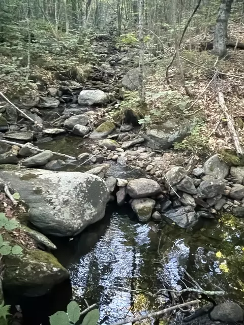 12 Mountain View Dr # E, Temple, ME 04984 photo 13