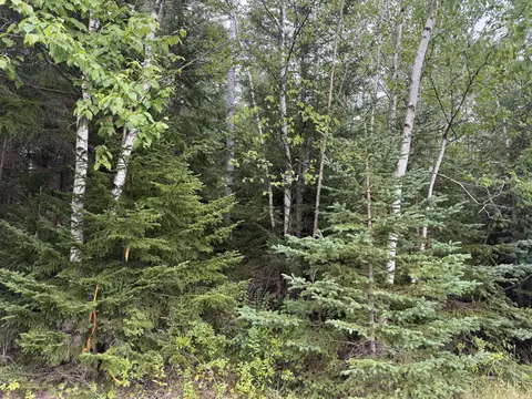 9 Redoubt Hill Rd, Eastport, ME 04631