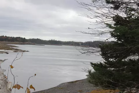 lot Apt 5 Hardy Point Rd, Pembroke, ME 04666