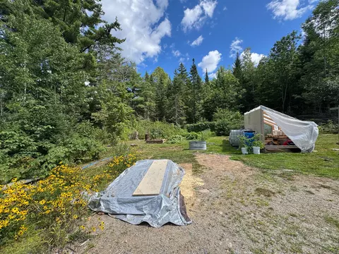 Exterior - 709 Main St, Springfield, ME 04487 photo 5 of 6