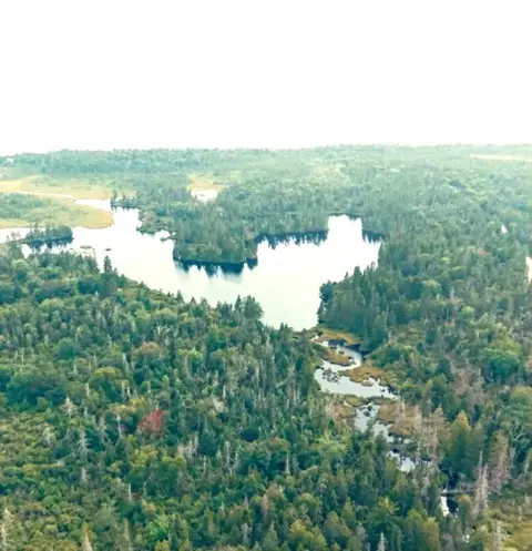 View/Area - 665 Corea Rd, Corea, ME 04624 photo 16 of 22