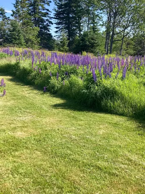 Other - 665 Corea Rd, Corea, ME 04624 photo 19 of 20