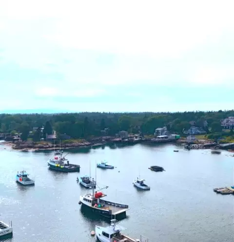 View/Area - 665 Corea Rd, Corea, ME 04624 photo 8 of 22