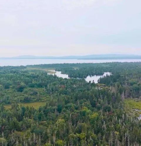 View/Area - 665 Corea Rd, Corea, ME 04624 photo 14 of 22