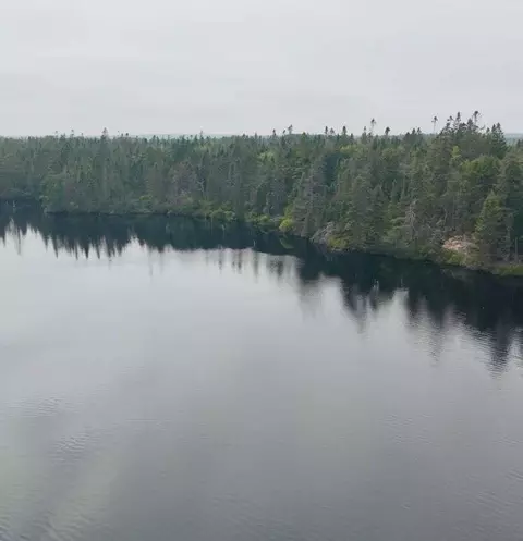View/Area - 665 Corea Rd, Corea, ME 04624 photo 13 of 22