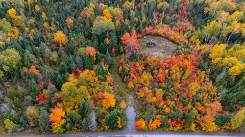 620 Dallas Hill Rd, Dallas Plt, ME 04970