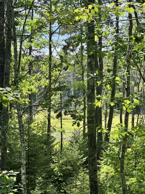 0 Henry Creek Way, Harpswell, ME 04079
